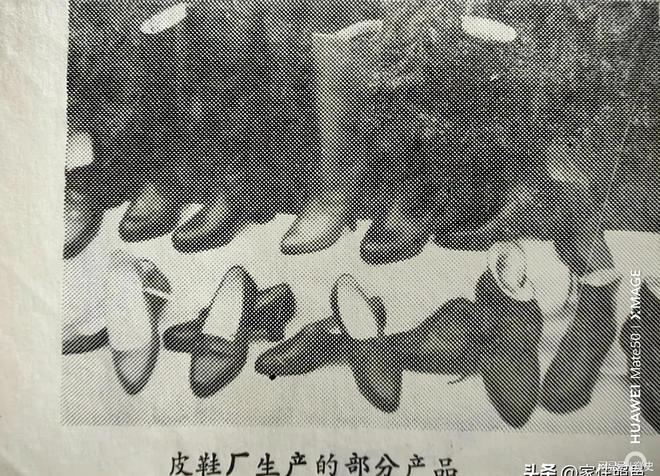 照市皮鞋厂的那些往事OG视讯说说县级日(图4)