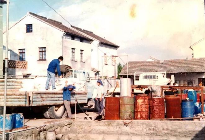 勺盐浙江父子却靠它撑起一个千亿帝国OG真人花2000元冤枉钱买了一(图4)